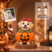 Pumpkin Suit